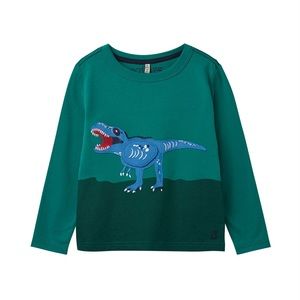 NWT Toddler boys long sleeve dinosaur flip up shirt